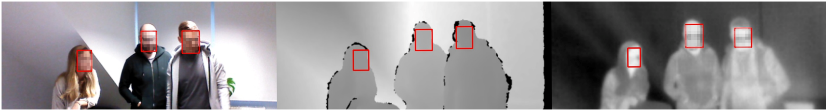 Depth and Thermal Images in Face Detection